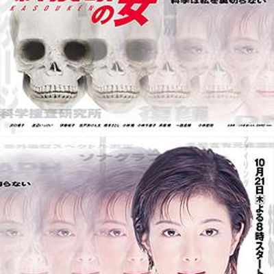 科搜研之女第十四季