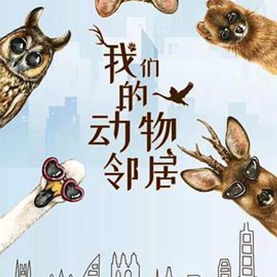 我们的动物邻居