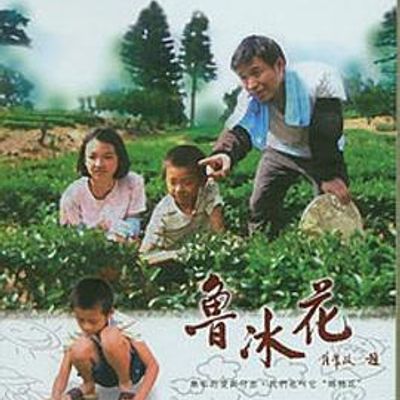 鲁冰花2006