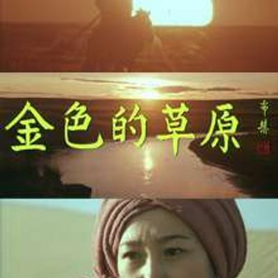 金色的草原高清修复