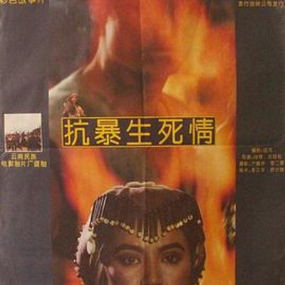 抗暴生死情