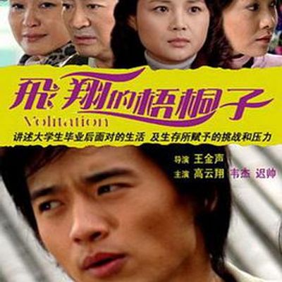 飞翔的梧桐子