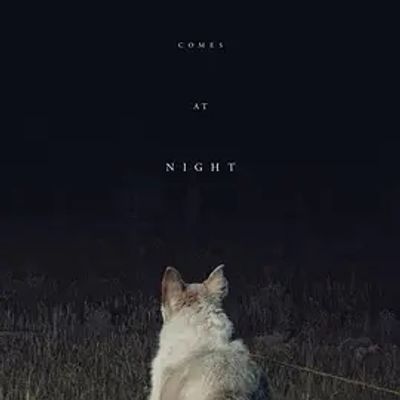 说电影《黑夜造访》