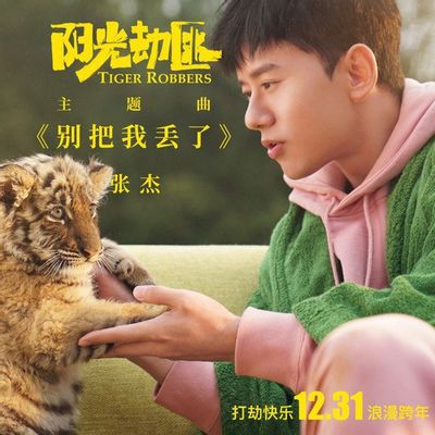张杰-别把我丢了