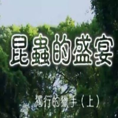昆虫的盛宴粤语