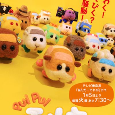 PUI PUI 天竺鼠车车
