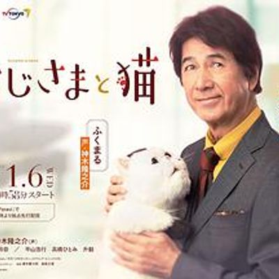 大叔与猫