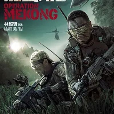说电影《湄公河行动》