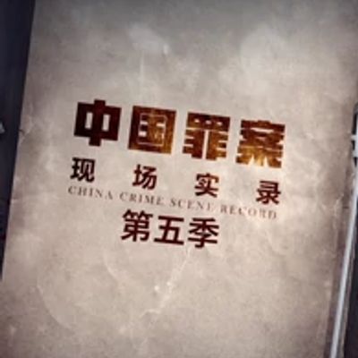 罪案现场实录第五季