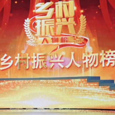 乡村振兴人物榜