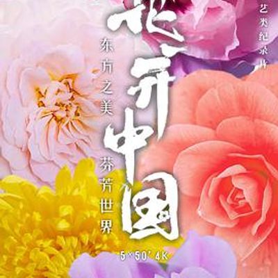 花开中国粤语