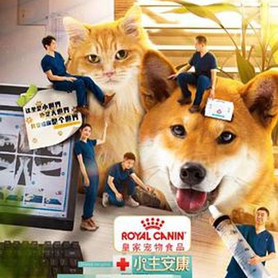 小主安康-宠物医院3