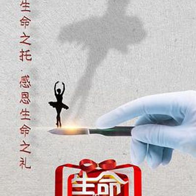 生命缘·生命的礼物第三季