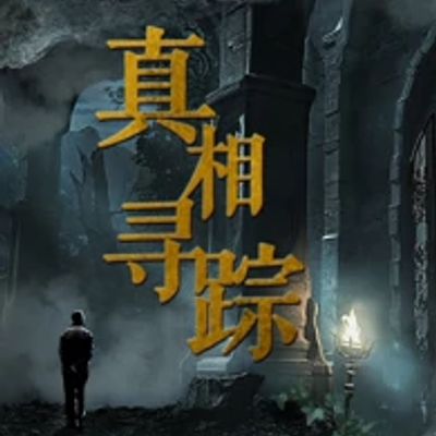 真相寻踪