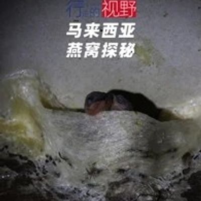 行走的视野