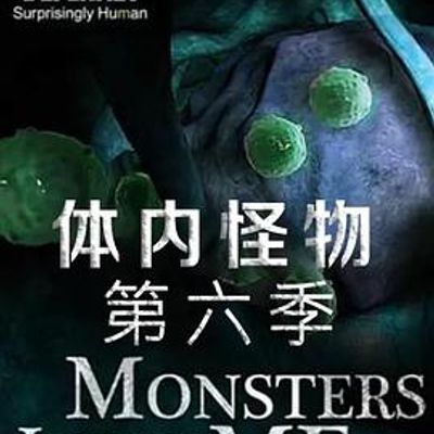 体内的怪物第六季