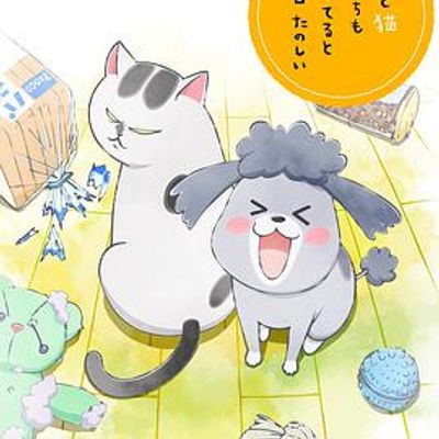 养狗与猫每天都很开心国语